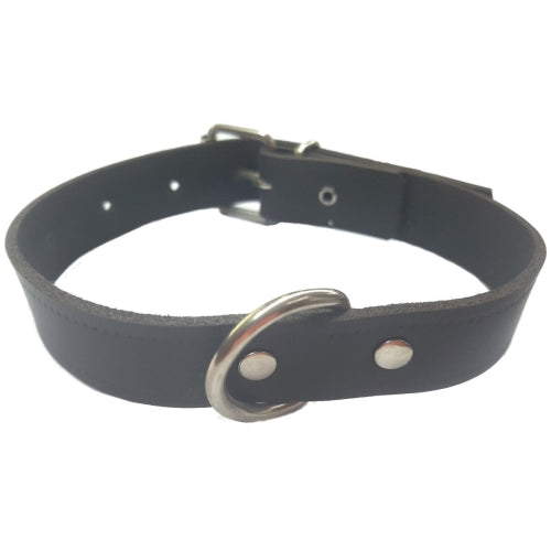 COLLAR CUERO MARRON LAURA 1,5x 30cm.