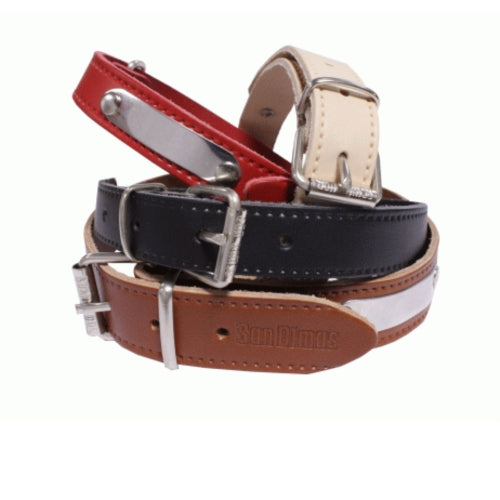 COLLAR CUERO CON PLACA 20 X 450 MM.NEGRO