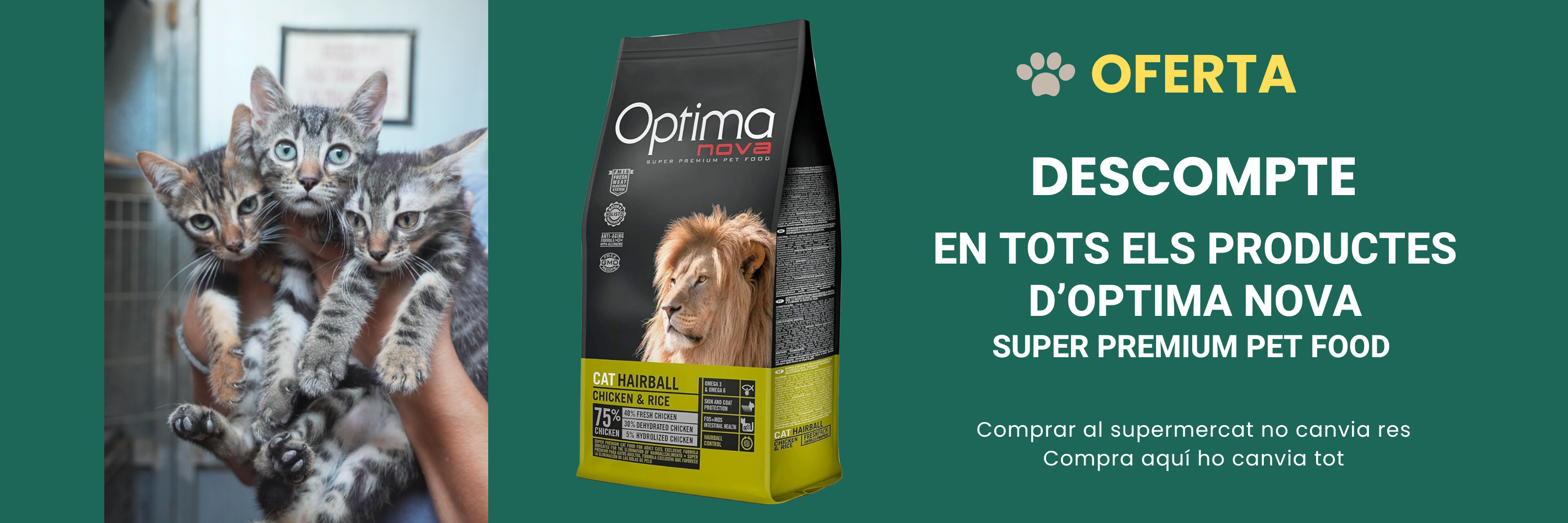 CODI BENVINGUDA5 (1).png__PID:8b63bc2e-a2e7-4f5f-b946-ddb41a7e4f36